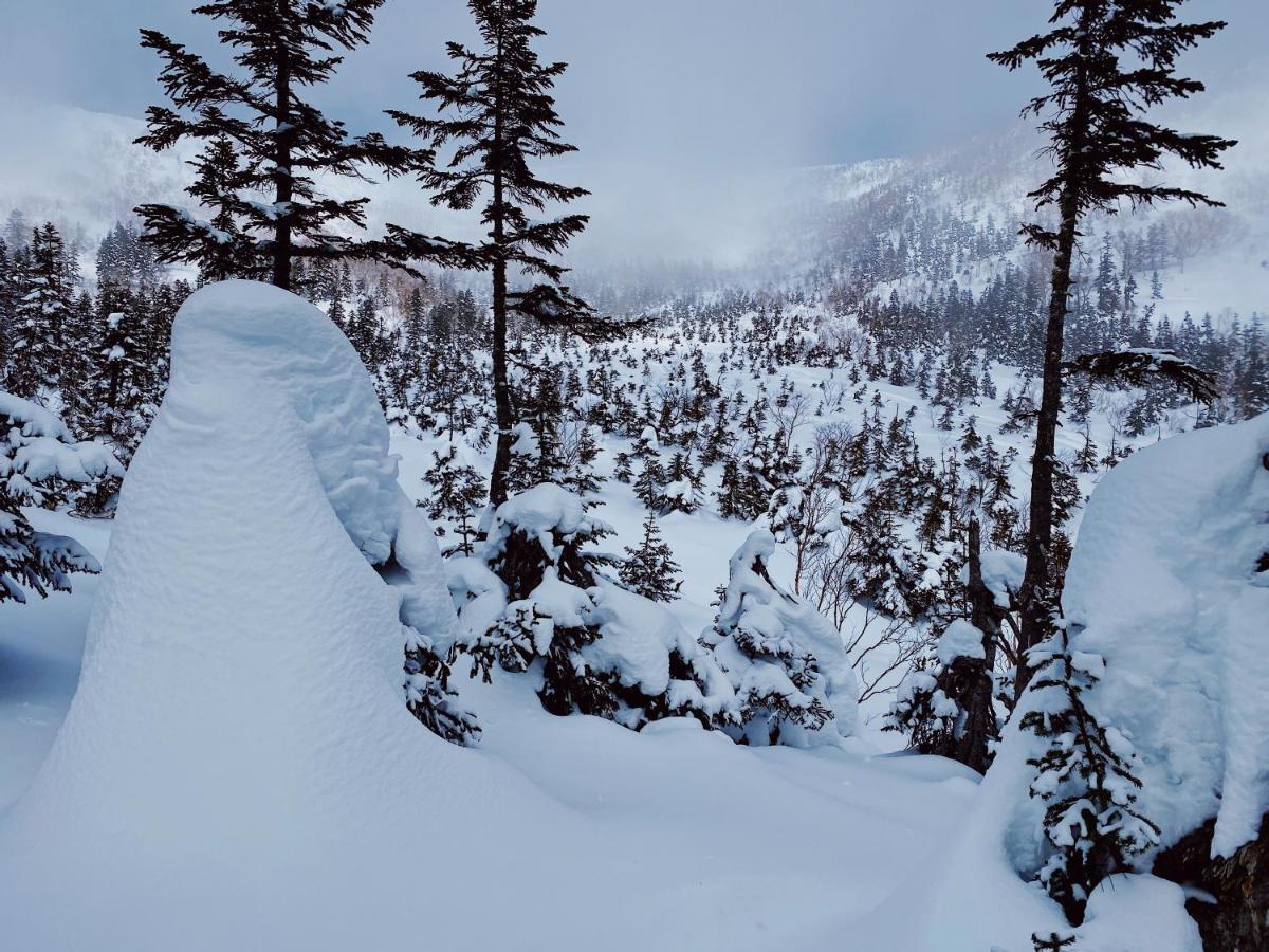 Apricot Pension Hakuba Dış mekan fotoğraf